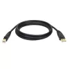 Tripp Eaton Tripp Lite Series USB 2.0 A to B kabelis (M/M)
