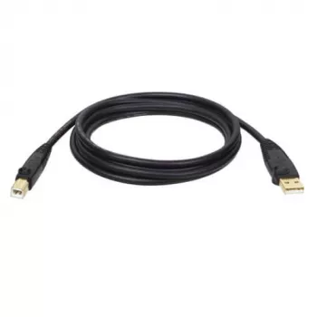 Tripp Eaton Tripp Lite Series USB 2.0 A to B kabelis (M/M)