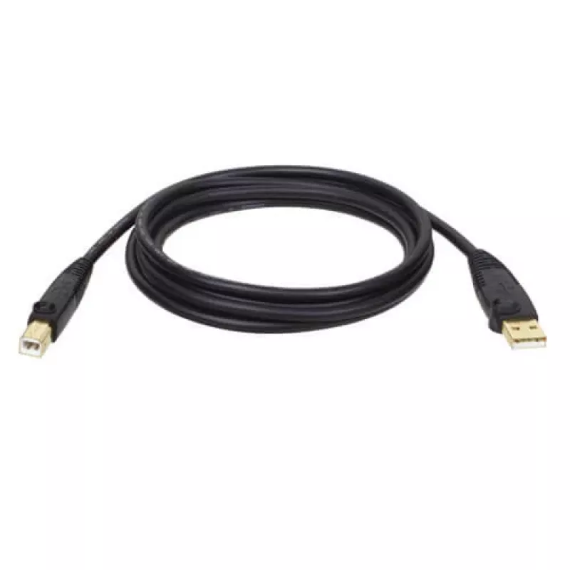 Tripp Eaton Tripp Lite Series USB 2.0 A to B kabelis (M/M)