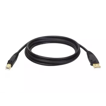 Tripp Eaton Tripp Lite Series USB 2.0 A to B kabelis (M/M)