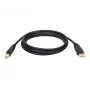 Tripp Eaton Tripp Lite Series USB 2.0 A to B kabelis (M/M)