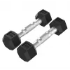 Tunturi Platinum Hex Rubber Dumbbell, 1kg, pora