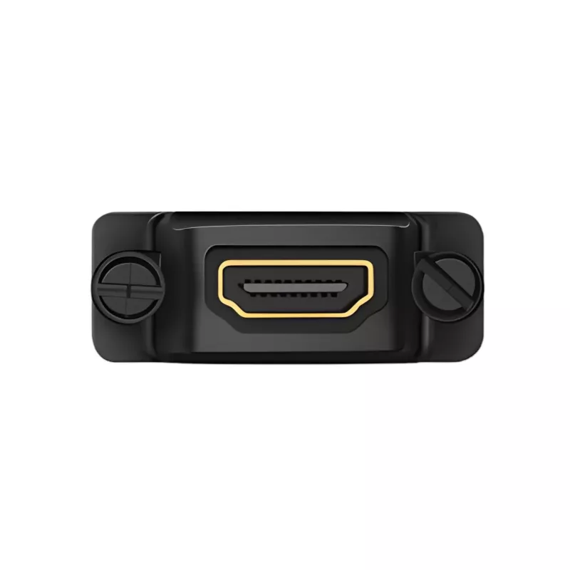 UGREEN 20124-20124 DVI (24+1) vyriškas į HDMI moterišką adapterį - juodos spalvos