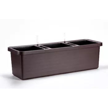 URBALIVE BERBERIS TRIO Savaime laistantis vazonas 117 x 39 cm, Ruda