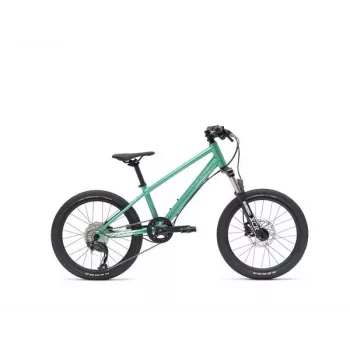 VAAST Y/1 kalnų dviratis 20 colių Gloss Teal – jaunimo MTB su Super Magnesium rėmu