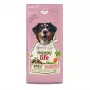VERSELE-LAGA HappyLife Dry ėdalo suaugusiems šunims su ėriena 12,5 kg