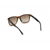 WEB EYEWEAR MAN WE0279-5652G Havana Green 56/19/145 mm Akiniai nuo saulės