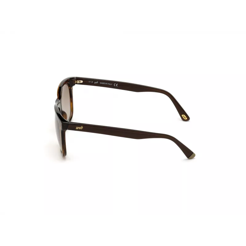 WEB EYEWEAR MAN WE0279-5652G Havana Green 56/19/145 mm Akiniai nuo saulės