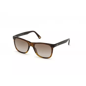 WEB EYEWEAR MAN WE0279-5652G Havana Green 56/19/145 mm Akiniai nuo saulės
