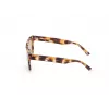 WEB EYEWEAR MAN WE0314-0041F Havana Acetato Rėmeliai Rudais Gradientiniais Lęšiais 54-19-145