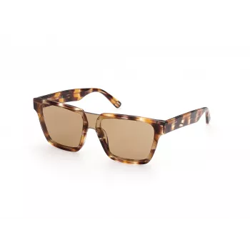 WEB EYEWEAR MAN WE0314-0041F Havana Acetato Rėmeliai Rudais Gradientiniais Lęšiais 54-19-145