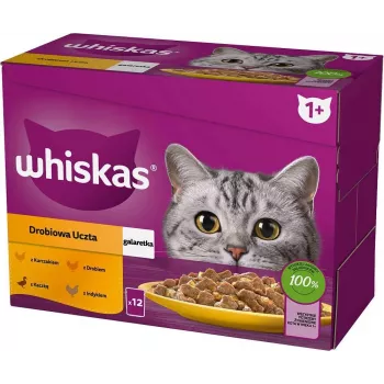 WHISKAS Sachet Jelly Poultry, Duck, Turkey, Chicken - šlapias kačių maistas 12x85 g