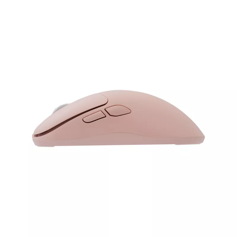 White Shark AERO PINK belaidė žaidimų pelė (rožinė, 10000 DPI, 2.4GHz/USB-C)