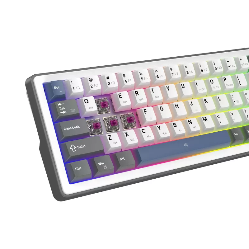 White Shark EXCALIBUR M mechaninė klaviatūra (GK-009251) su Outemu Blue jungikliais, RGB foniniu apšvietimu, US išdėstymu, balta