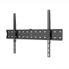 WINX MOUNT Simple TV laikiklis, 37-70 colių, iki 40 kg