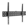 WINX MOUNT Simple TV laikiklis, 37-70 colių, iki 40 kg