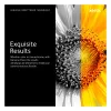 Xerox Extra High Capacity Yellow Original Toner Cartridge