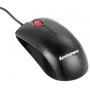 Pelytė IBM Optical Wheel Mouse 41U3030 USB